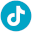 TikTok Logo