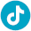 TikTok Logo